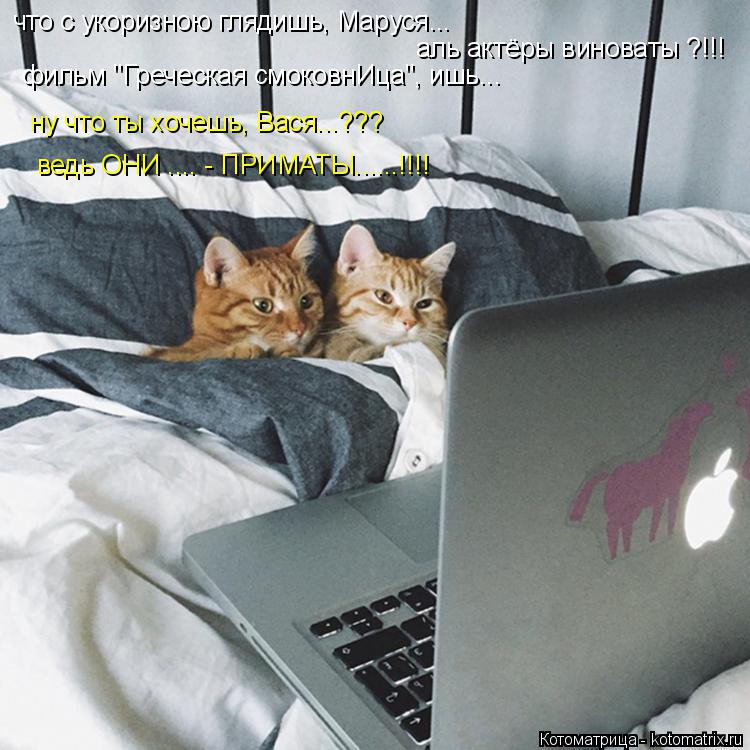 Котоматрица: что с укоризною глядишь, Маруся... аль актёры виноваты ?!!! фильм "Греческая смоковнИца", ишь... ну что ты хочешь, Вася...??? ведь ОНИ .... - ПРИМАТЫ.....