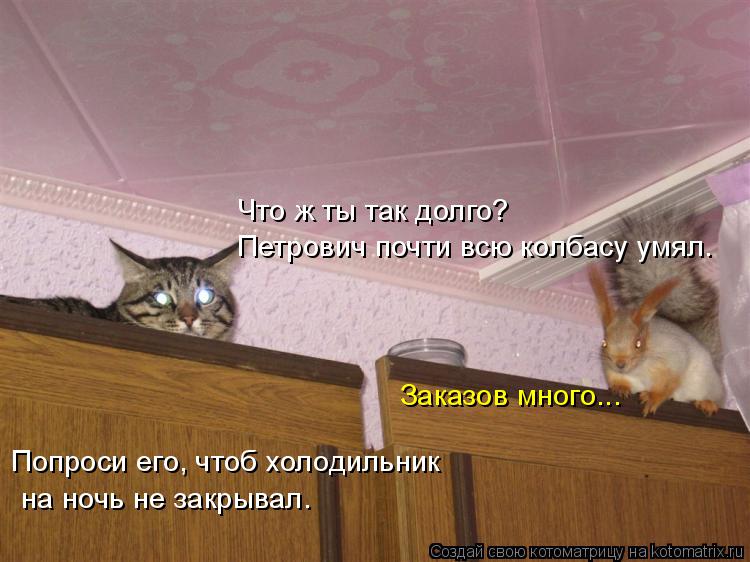 Котоматрица: Что ж ты так долго? Петрович почти всю колбасу умял. Заказов много... Попроси его, чтоб холодильник  на ночь не закрывал.