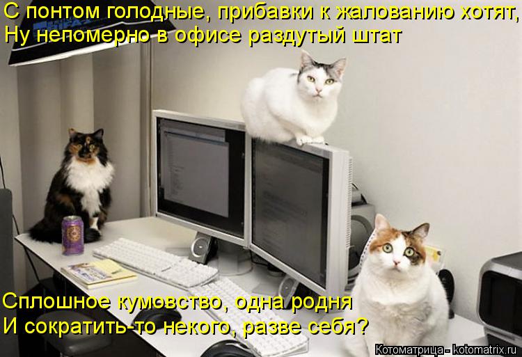 Котоматрица: С понтом голодные, прибавки к жалованию хотят, Ну непомерно в офисе раздутый штат Сплошное кумовство, одна родня И сократить-то некого, разв