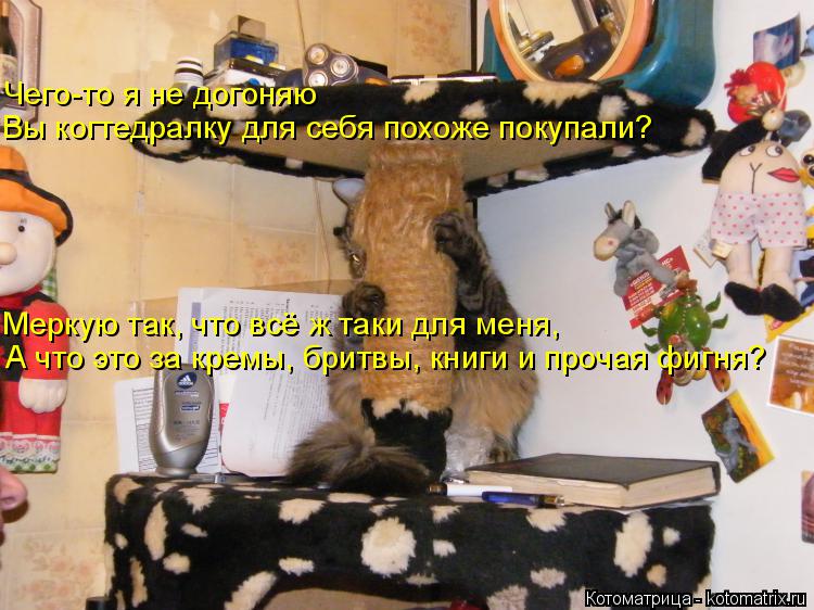 Котоматрица: Чего-то я не догоняю Вы когтедралку для себя похоже покупали? А что это за кремы, бритвы, книги и прочая фигня? Меркую так, что всё ж таки для м