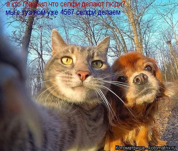 Котоматрица: а кто говорил что селфи делают люди? мы с тузиком уже 4567 селфи делаем