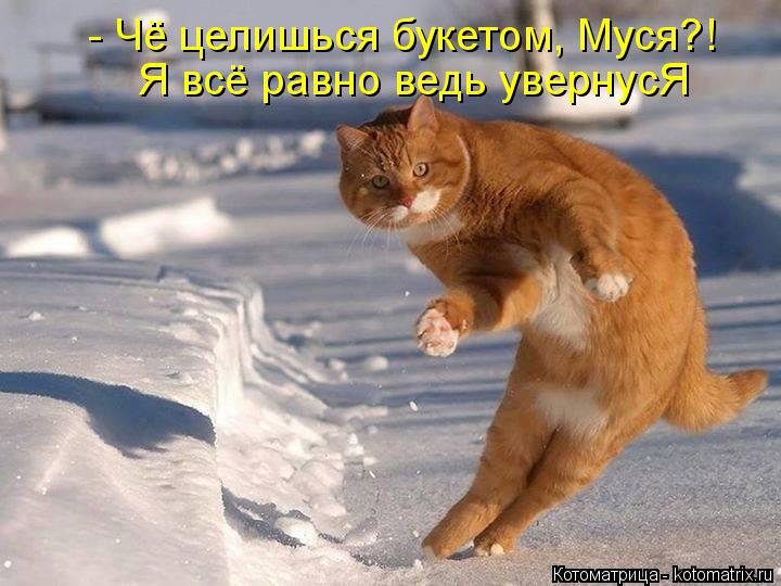 Котоматрица: - Чё целишься букетом, Муся?! Я всё равно ведь увернусЯ