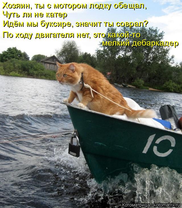 Котоматрица: Чуть ли не катер Хозяин, ты с мотором лодку обещал, По ходу двигателя нет, это какой-то мелкий дебаркадер Идём мы буксире, значит ты соврал?