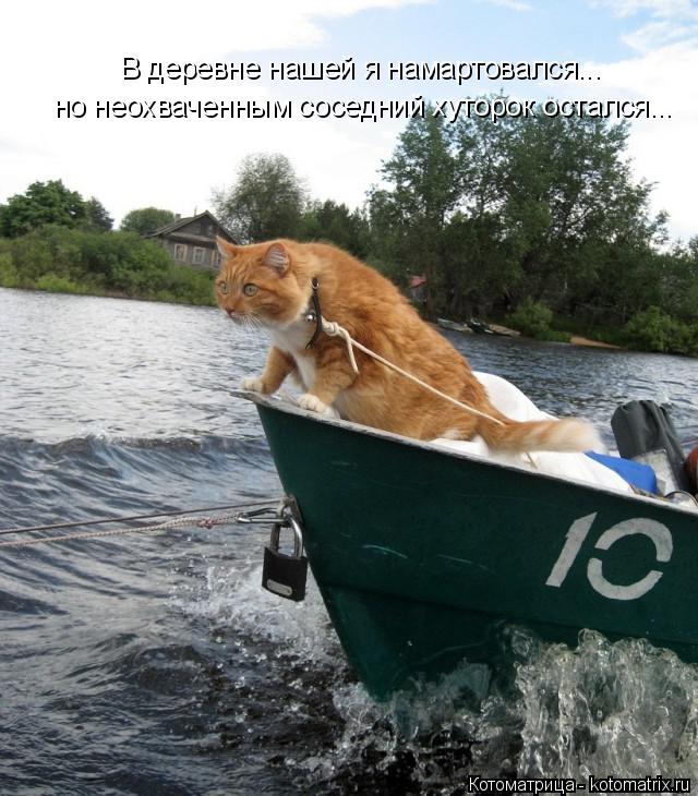 Котоматрица: В деревне нашей я намартовался... но неохваченным соседний хуторок остался...