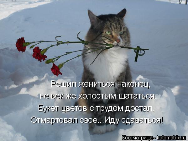 Котоматрица: Решил жениться наконец, не век же холостым шататься. Букет цветов с трудом достал. Отмартовал свое...Иду сдаваться!