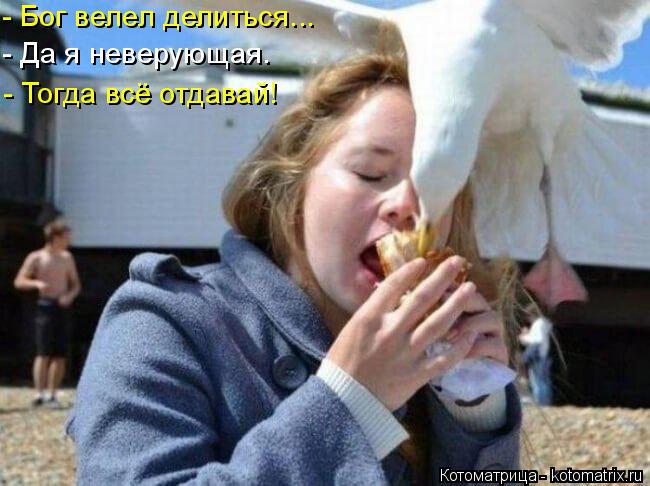 Котоматрица: - Бог велел делиться... - Да я неверующая. - Тогда всё отдавай!