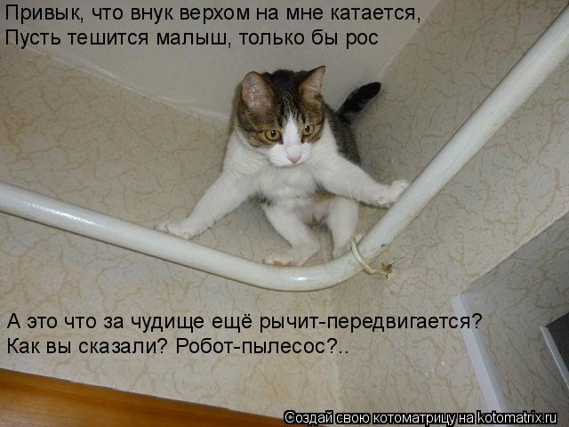 Котоматрица: Привык, что внук верхом на мне катается, Пусть тешится малыш, только бы рос А это что за чудище ещё рычит-передвигается? Как вы сказали? Робот