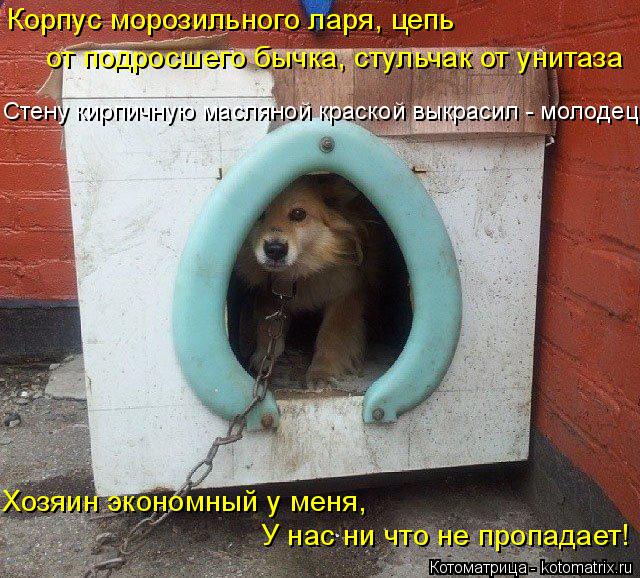 Котоматрица: Корпус морозильного ларя, цепь  от подросшего бычка, стульчак от унитаза У нас ни что не пропадает! Хозяин экономный у меня, Стену кирпичную 