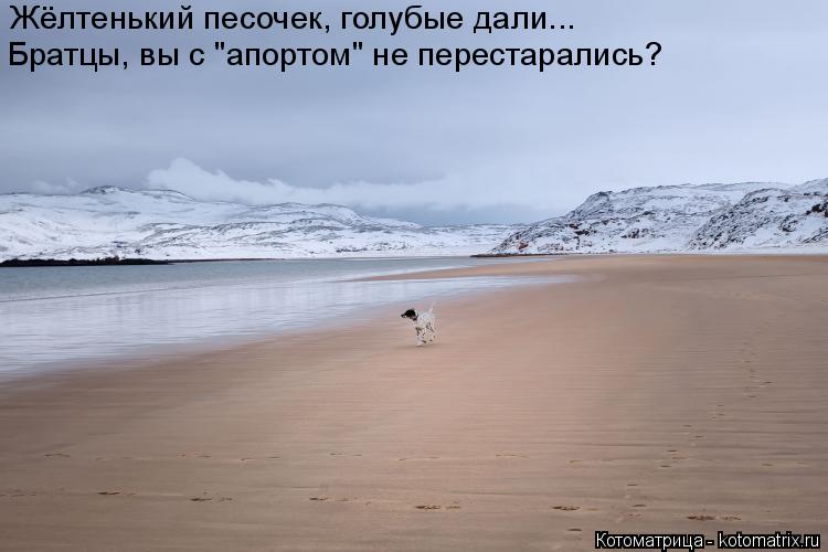 Котоматрица: Жёлтенький песочек, голубые дали... Братцы, вы с "апортом" не перестарались?
