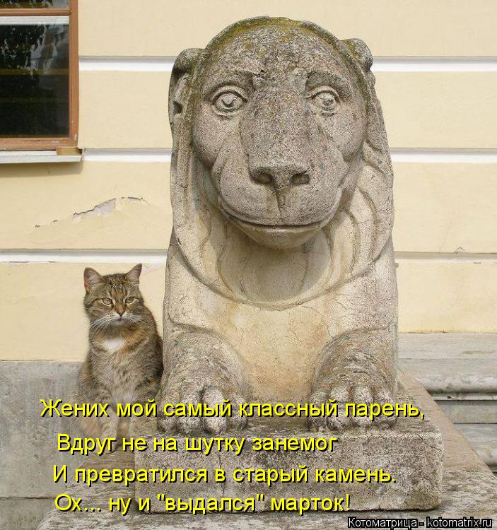 Котоматрица: Жених мой самый классный парень, Вдруг не на шутку занемог И превратился в старый камень. Ох... ну и "выдался" марток!