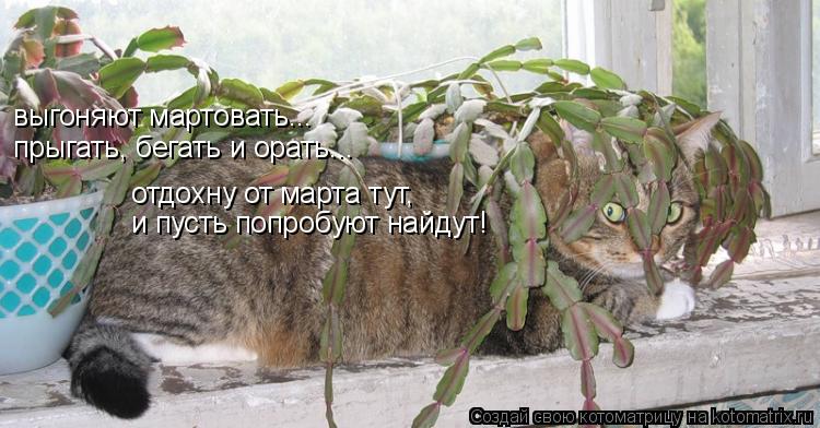 Котоматрица: выгоняют мартовать...  прыгать, бегать и орать... отдохну от марта тут, и пусть попробуют найдут!