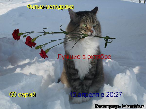 Котоматрица: Фильм-мелодрама Лучшие в октябре 60 серий 15 апреля в 20:27
