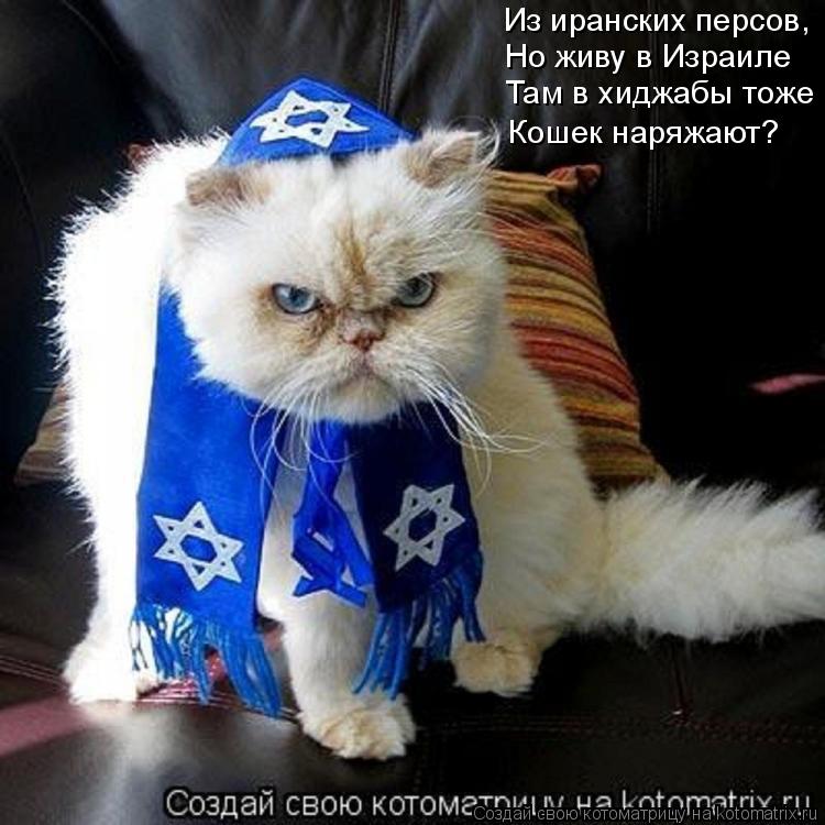 Котоматрица: Из иранских персов, Но живу в Израиле Там в хиджабы тоже Кошек наряжают?