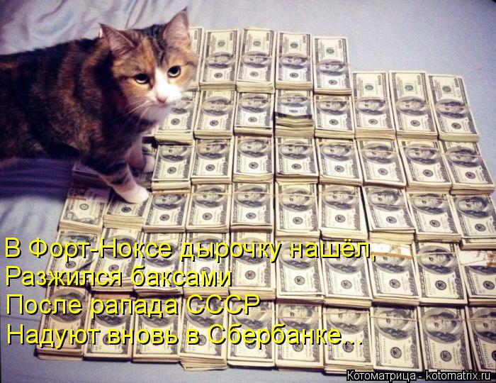 Котоматрица: В Форт-Ноксе дырочку нашёл,  Разжился баксами После рапада СССР Надуют вновь в Сбербанке...