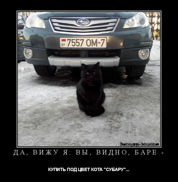 Котоматрица: ДА, ВИЖУ Я: ВЫ, ВИДНО, БАРЕ - КУПИТЬ ПОД ЦВЕТ КОТА "СУБАРУ"...