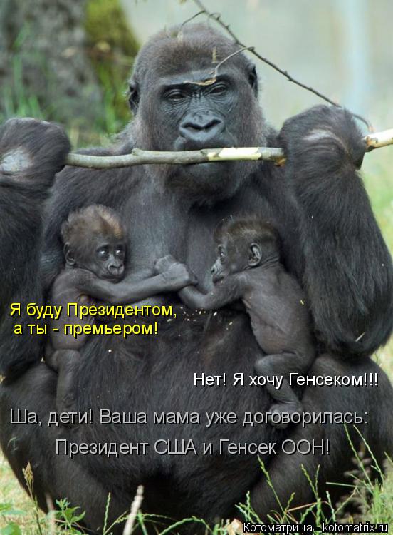 Я буду Президентом, а ты - премьером! Нет! Я хочу Генсеком!!! Ша, дети! Ваша мама уже договорилась: ... Котоматрица: Я буду Президентом, а ты - премьером! Нет! Я хочу Генсеком!!! Ша, дети! Ваша мама уже договорилась: Президент США и Генсек ООН!