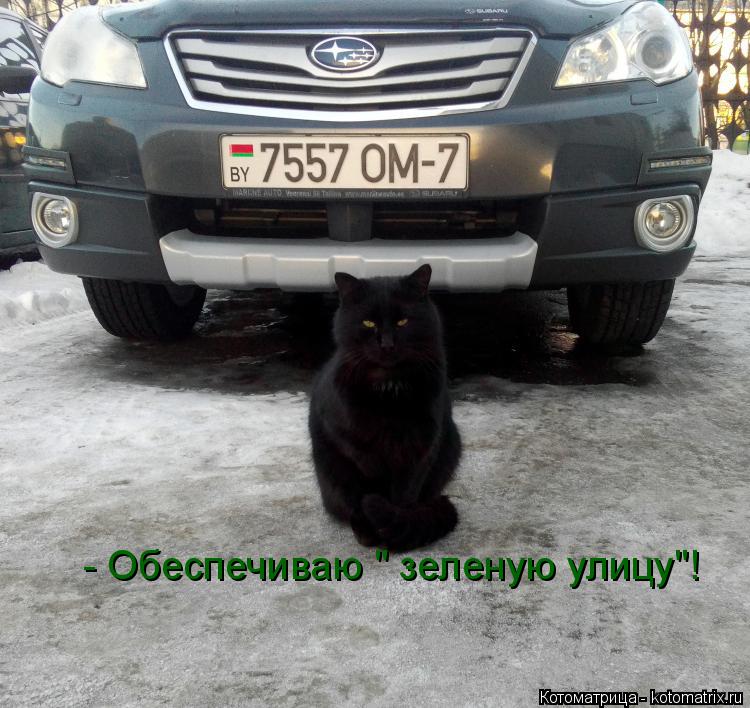 - Обеспечиваю " зеленую улицу"!... Котоматрица: - Обеспечиваю " зеленую улицу"!