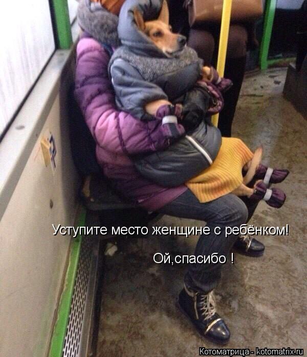 Котоматрица: Уступите место женщине с ребёнком! Ой,спасибо !