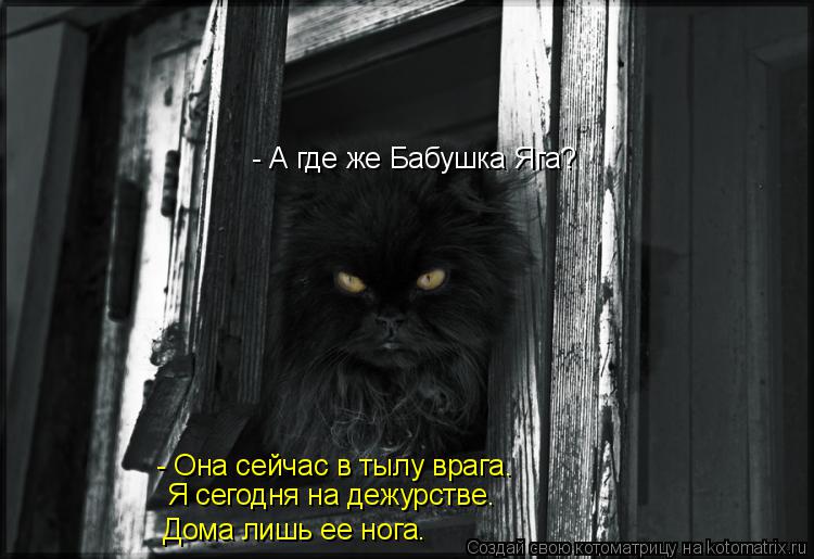 Котоматрица: - А где же Бабушка Яга? - Она сейчас в тылу врага. Я сегодня на дежурстве. Дома лишь ее нога.