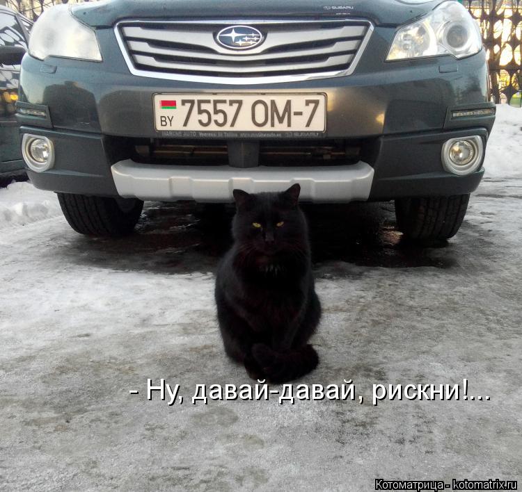 - Ну, давай-давай, рискни!...... Котоматрица: - Ну, давай-давай, рискни!...
