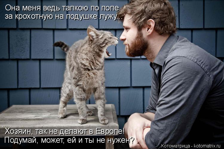 Котоматрица: Она меня ведь тапкою по попе  за крохотную на подушке лужу... Хозяин, так не делают в Европе! Подумай, может, ей и ты не нужен?