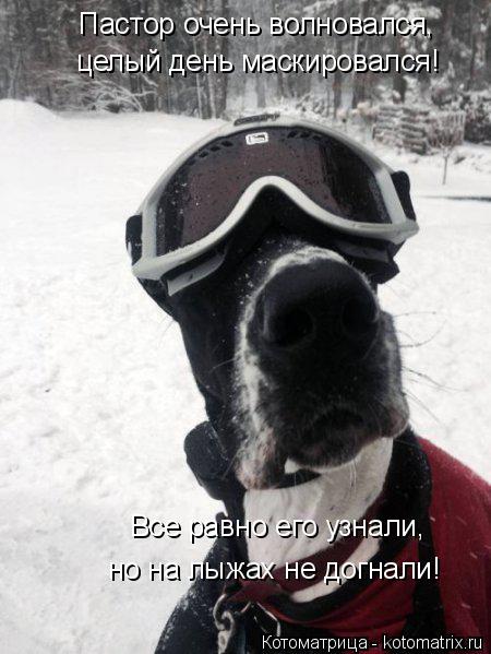 Пастор очень волновался, целый день маскировался! Все равно его узнали, но на лыжах не догнали!... Котоматрица: Пастор очень волновался, целый день маскировался! Все равно его узнали, но на лыжах не догнали!