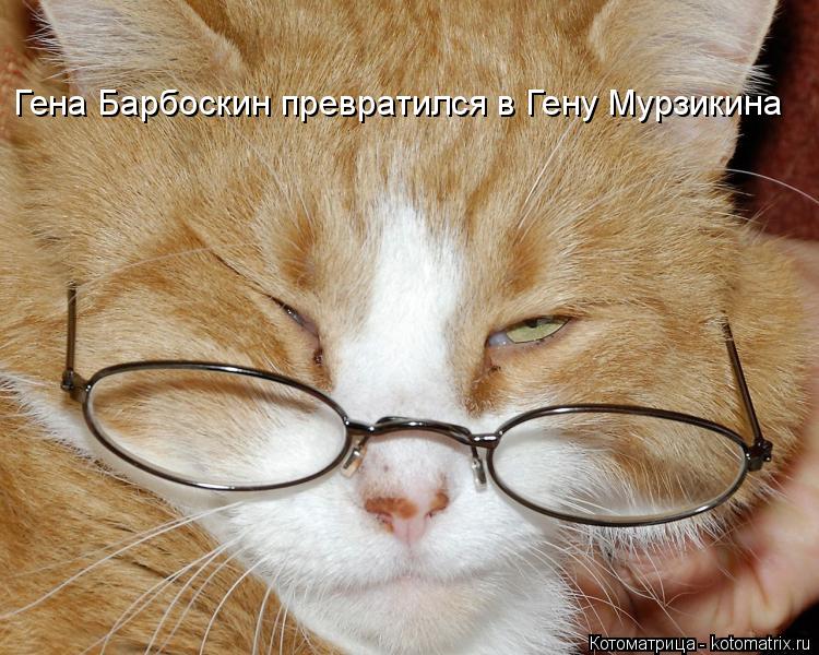 Котоматрица: Гена Барбоскин превратился в Гену Мурзикина