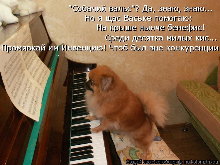 Котоматрица: "Собачий вальс"? Да, знаю, знаю... Но я щас Ваське помогаю: На крыше нынче бенефис! Среди десятка милых кис... Промявкай им Инвенцию! Чтоб был вне