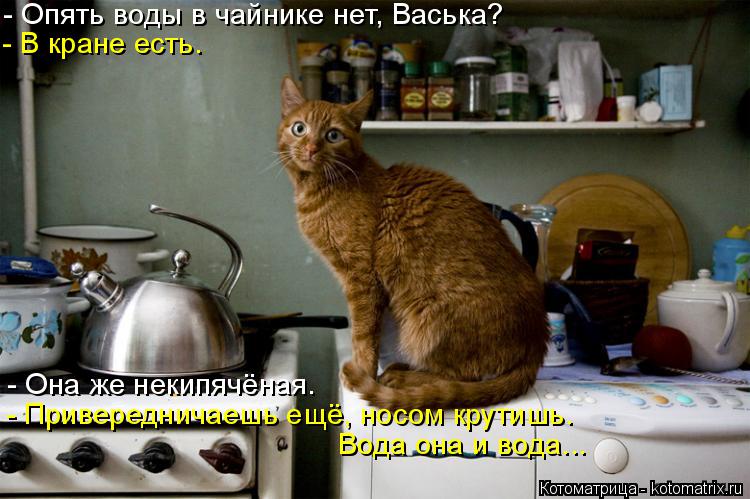 Котоматрица: - Опять воды в чайнике нет, Васька? - В кране есть. - Она же некипячёная. - Привередничаешь ещё, носом крутишь. Вода она и вода...