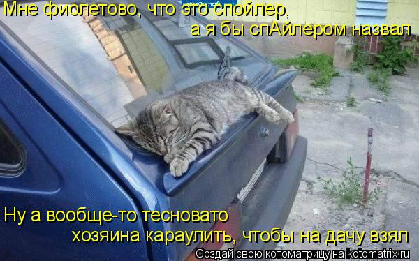 Котоматрица: Мне фиолетово, что это спойлер, Ну а вообще-то тесновато  хозяина караулить, чтобы на дачу взял а я бы спАйлером назвал