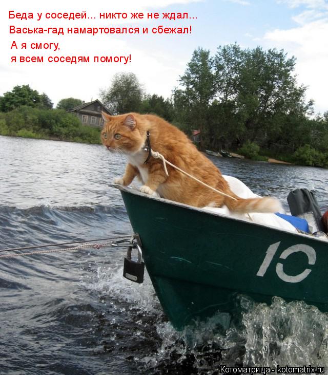 Котоматрица: Беда у соседей... никто же не ждал... Васька-гад намартовался и сбежал! А я смогу,  я всем соседям помогу!