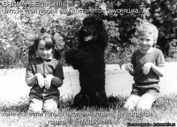 ВНИМАНЬЕ, дети !!! в позе этой любая вам достанется "вкусняшка.".. конечно, если только о колени, хоз... Котоматрица: ВНИМАНЬЕ, дети !!! в позе этой любая вам достанется "вкусняшка.".. конечно, если только о колени, хозяев, не потрётся... кошка....... МАШКА !!!!
