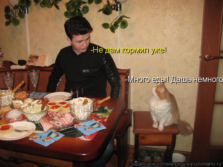 Котоматрица: -Много еды! Дашь немного. -Не дам кормил уже!