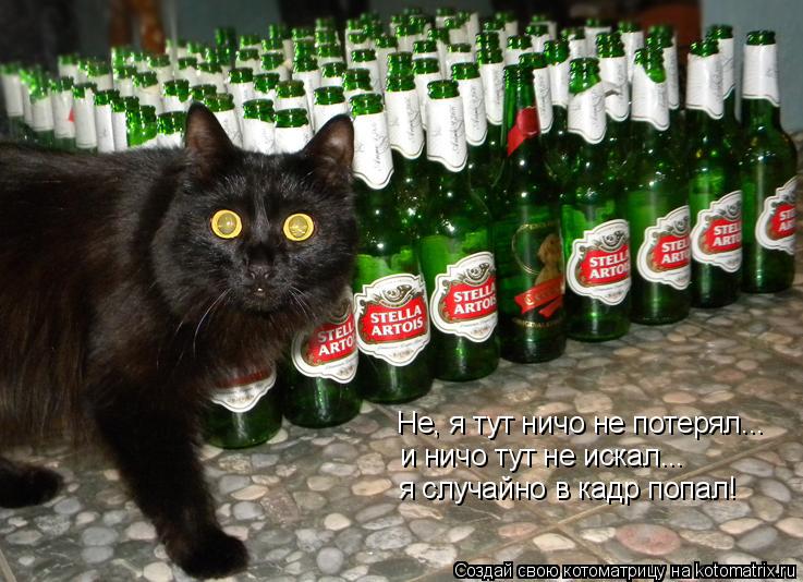 Котоматрица: Не, я тут ничо не потерял... и ничо тут не искал... я случайно в кадр попал!