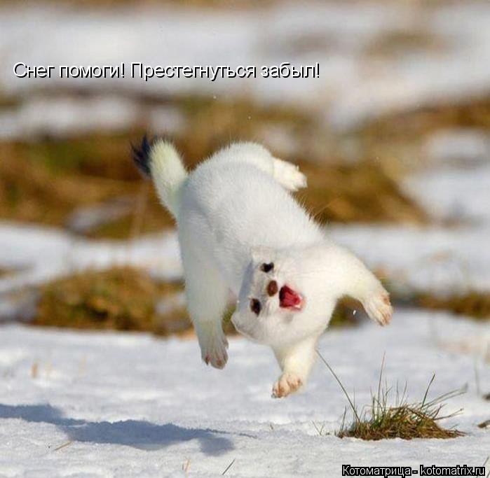Котоматрица: Снег помоги! Престегнуться забыл!