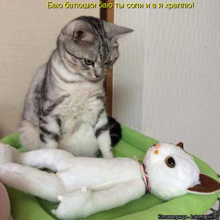 Котоматрица: Баю батюшки баю ты сопи и а я храплю!