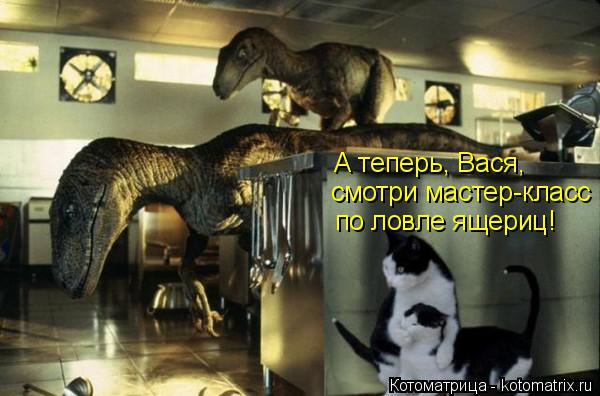 Котоматрица: А теперь, Вася, смотри мастер-класс по ловле ящериц!