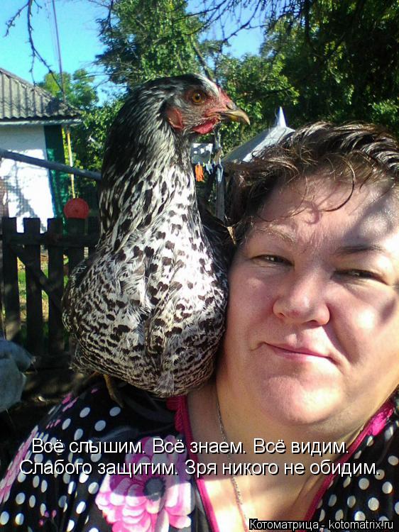 Котоматрица: Всё слышим. Всё знаем. Всё видим. Слабого защитим. Зря никого не обидим.