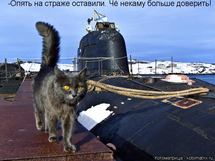 Котоматрица: -Опять на страже оставили. Чё некаму больше доверить!