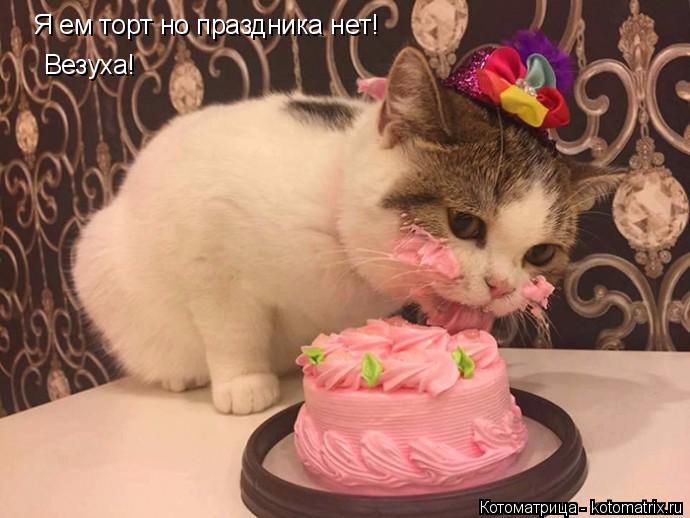 Котоматрица: Я ем торт но праздника нет! Везуха!