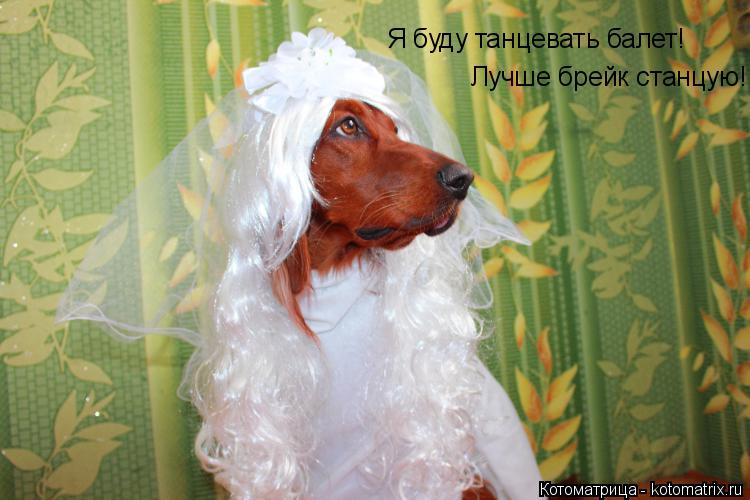 Котоматрица: Я буду танцевать балет! Лучше брейк станцую!