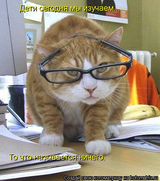 Котоматрица: Дети сегодня мы изучаем... То что называется ничего.
