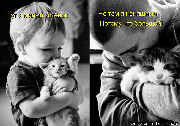Котоматрица: Тут я милый котёнок. Но там я неняшный! Потому что большой!