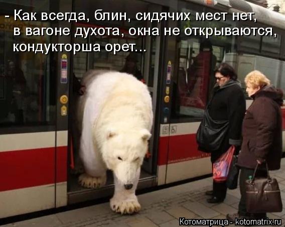 Котоматрица: - Как всегда, блин, сидячих мест нет, в вагоне духота, окна не открываются, кондукторша орет...
