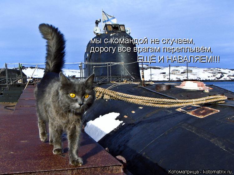 Котоматрица: мы с командой не скучаем,  дорогу все врагам переплывём, ЕЩЁ И НАВАЛЯЕМ!!!