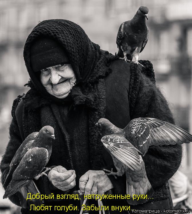 Котоматрица: Добрый взгляд, натруженные руки... Любят голуби. Забыли внуки...