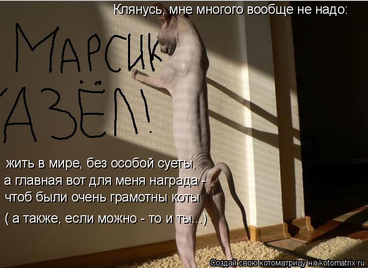Котоматрица: Клянусь, мне многого вообще не надо: жить в мире, без особой суеты,  а главная вот для меня награда -  чтоб были очень грамотны коты ( а также, е