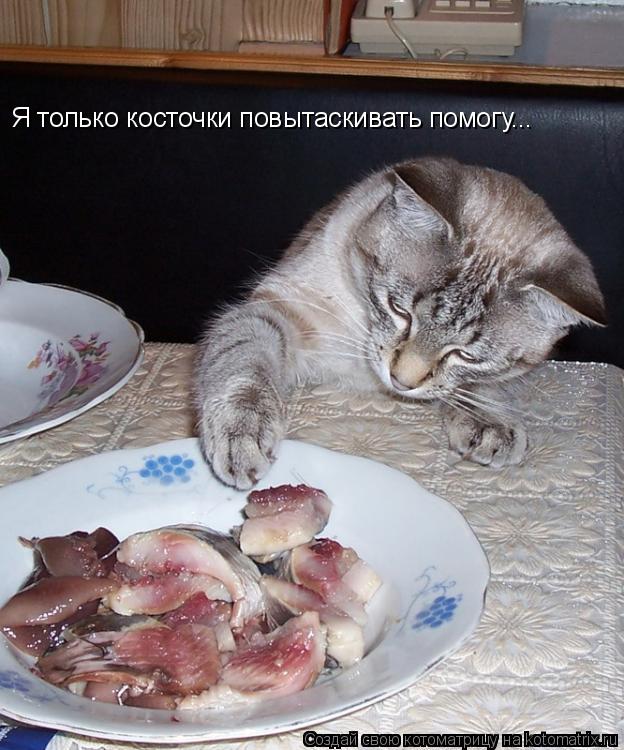 Котоматрица: Я только косточки повытаскивать помогу...