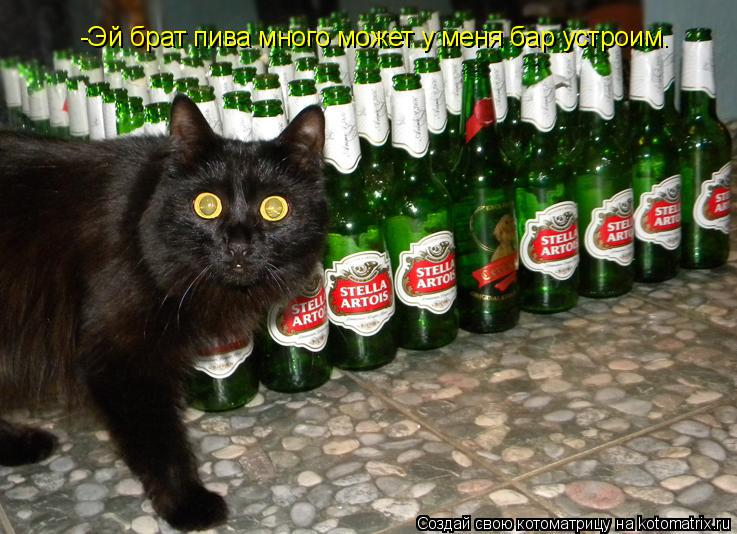 Котоматрица: -Эй брат пива много может у меня бар устроим.