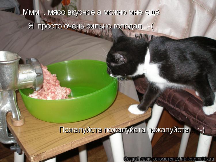 Котоматрица: Ммм... мясо вкусное а можно мне ещё. Я  просто очень сильно голодал. :-( Пожалуйста пожалуйста пожалуйста... :-)
